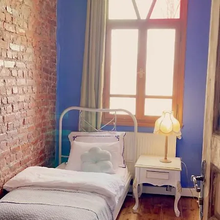 Building/5floors/ Garden In Balat Villa