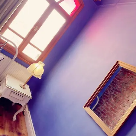 Building/5floors/ Garden In Balat Villa
