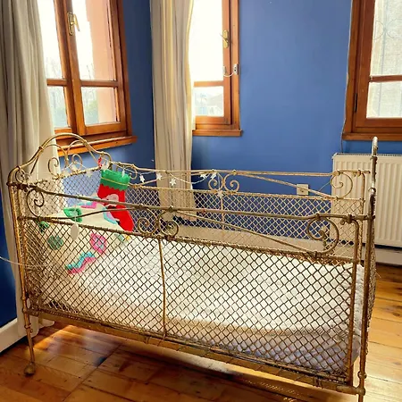 Villa Building/5floors/ Garden In Balat Istanbul